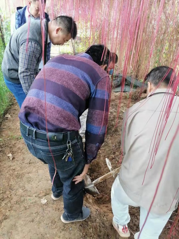 松崗電纜故障查找維修